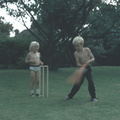 TR garden cricket 82